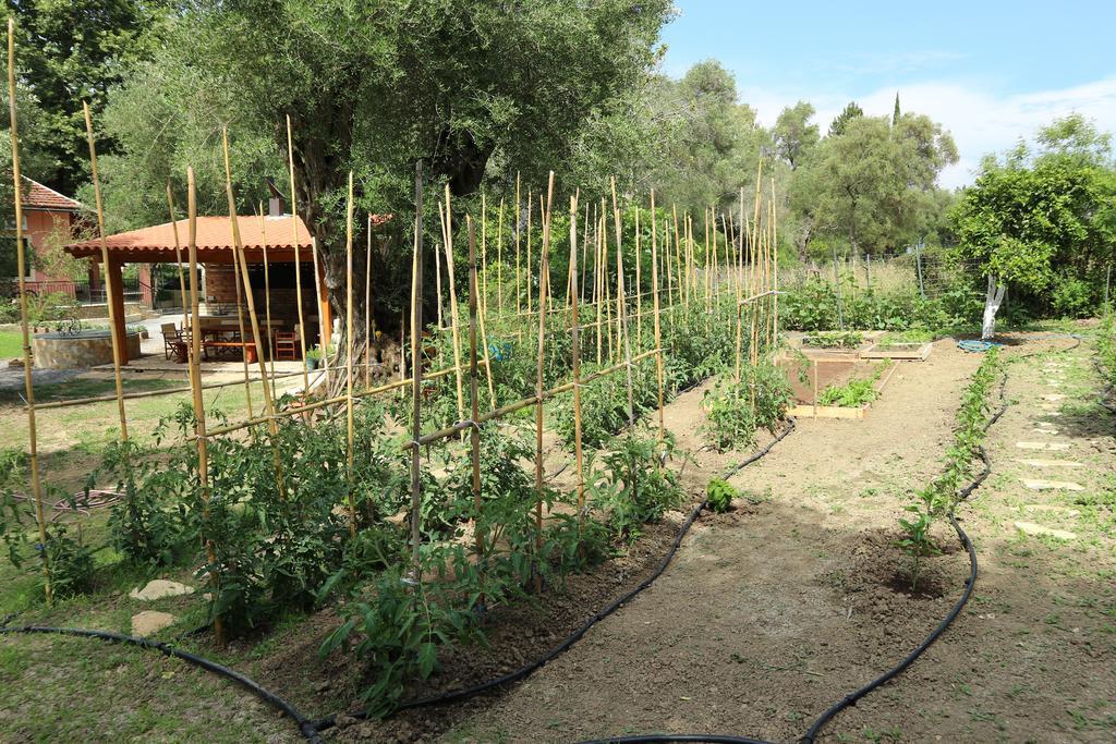 Villa Magia إيبسوس المظهر الخارجي الصورة